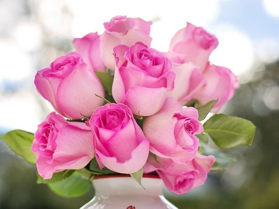 Волгоградцы узнали, как дольше сохранить свежесть роз в вазе