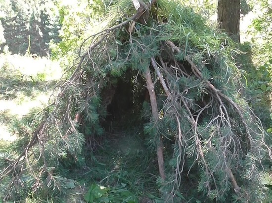 Костромская робинзонада: сестры, заблудившиеся в лесу, провели ночь в шалаше