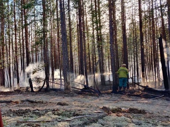 В Югре увеличилось количество лесных пожаров, но сократилась их площадь