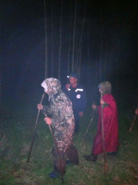 Этой ночью в Марий Эл спасатели вывели из леса заблудившихся женщин