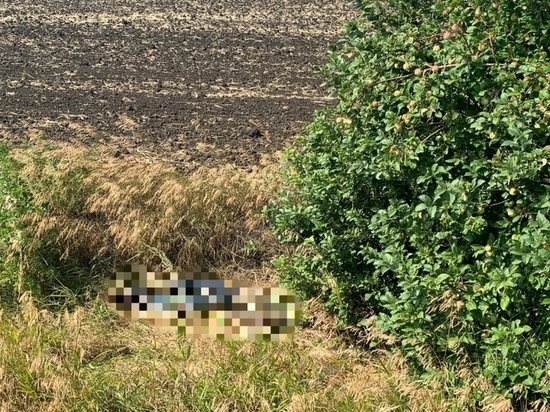 Саратовский автостопщик пытался поймать попутку и нашел труп