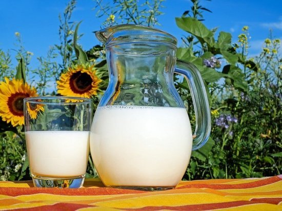 Производство молока в Нижегородской области выросло почти на 5%