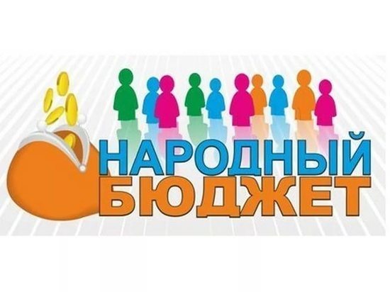 В Поназыревском районе Костромской области «Народный бюджет» делили всем миром