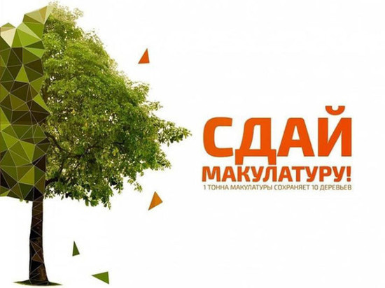 Масштабный эко-марафон состоится в сентябре в Мурманской области