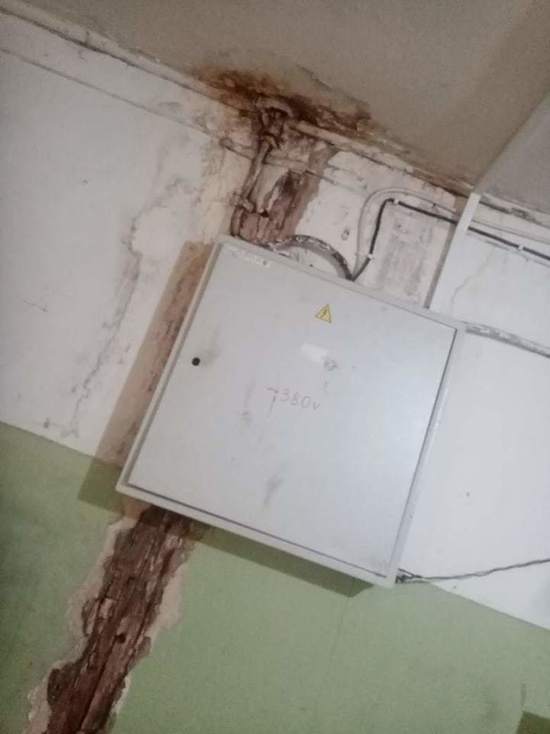 Потолок скоро рухнет на голову: в Лабытнанги подъезд жилого дома отремонтируют после поста в соцсети