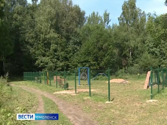 В Реадовском парке в Смоленске заканчивается строительство площадки для выгула собак