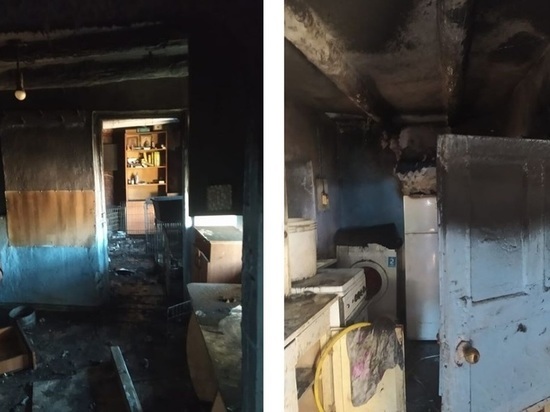 На Кубани сгорел мини-приют, часть животных задохнулась от дыма