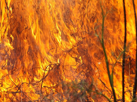 Возле Нежинских дач Оренбургского района загорелась сухая трава