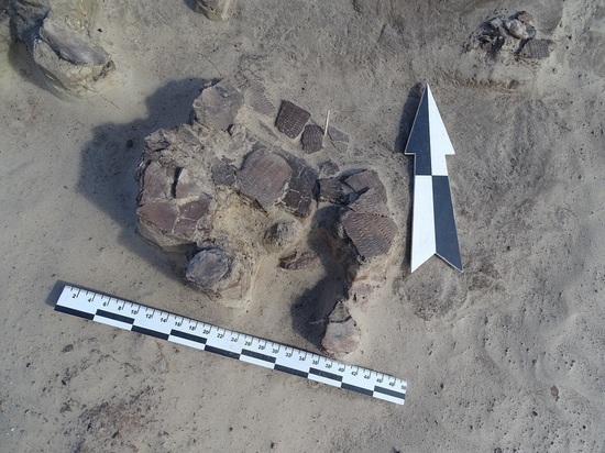 В Ямальском районе археологи нашли уникальные древние артефакты