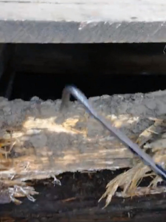 Собирают доски и прибивают на гнилые брусья: в Лабытнанги студенты ремонтируют крыльцо жилого дома