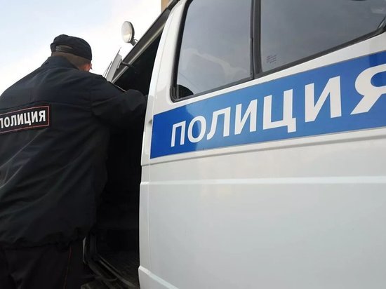 Житель калмыцкой столицы наказан за насилие в отношении полицейского