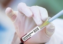 Главный врач и телеведущий Александр Мясников рассказал о двух возможных сценариях распространения коронавируса, а также объяснил, почему некорректно применять оборот "остановить инфекцию" в разговорах об эпидемии COVID-19