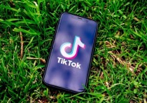Трамп заблокировал TikTok в США, компания подает в суд