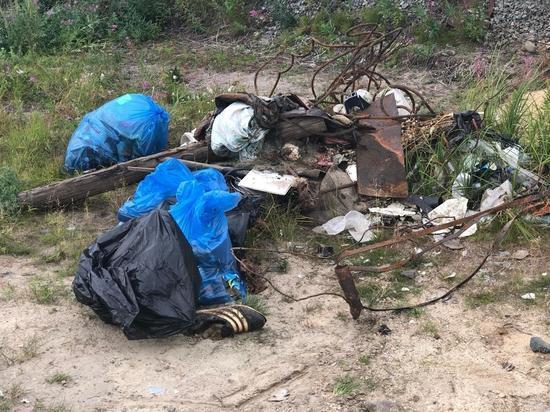 Чиновники из Салехарда очистили от мусора берег Полуя