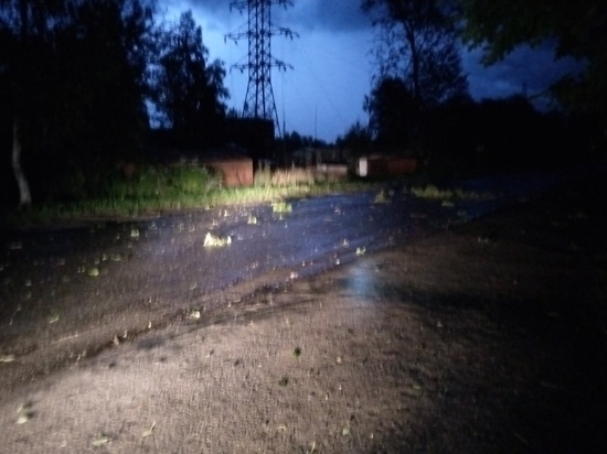 В районе Петрозаводска отрубили свет из-за попавшей в дерево молнии