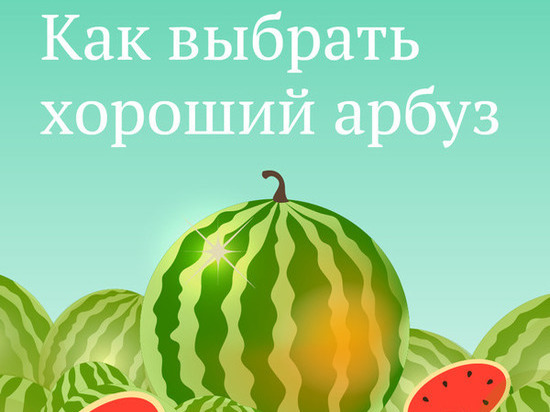 Zhitelyam Podmoskovya Pokazali Idealnyj Arbuz Mk Serpuhov