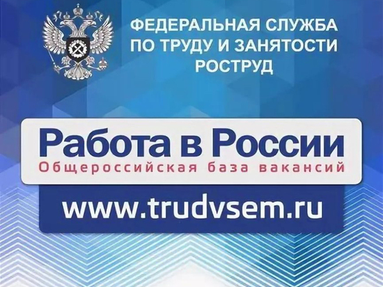 На портале «Работа в России» Тамбовская область предлагает более 2600 вакансий