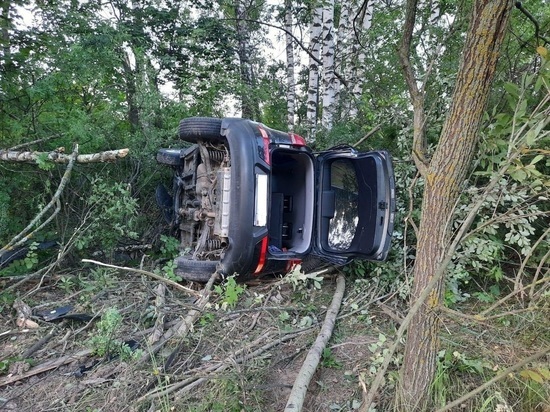 В Рязанской области водитель погиб, уснув за рулем
