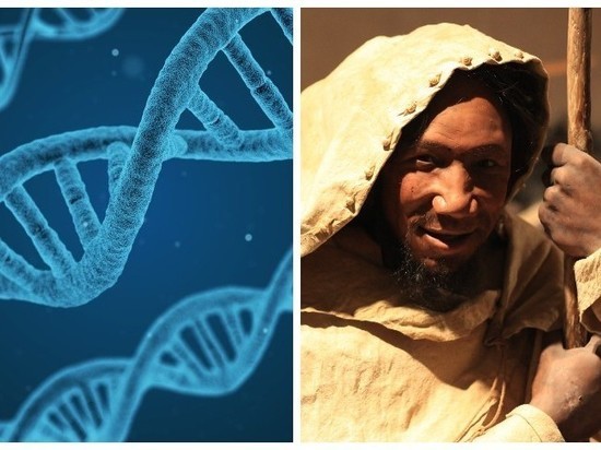 В ДНК человека обнаружены следы неизвестного предка