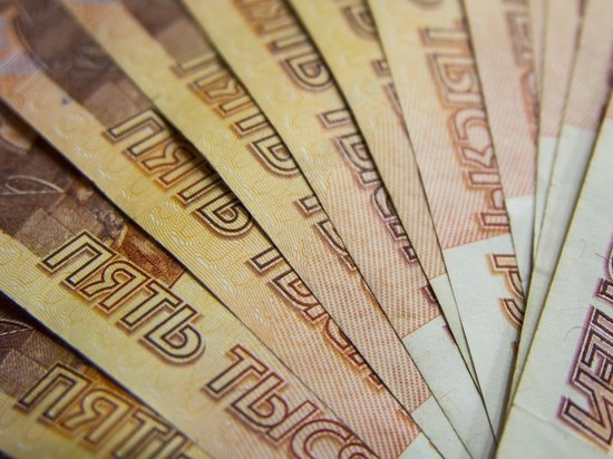 В хищении 860 тысяч рублей обвинили жительницу Новосибирской области
