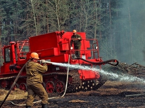 На борьбу с лесными пожарами в Костромской области заступила новая техника
