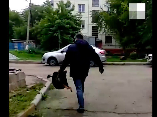 В Челябинске живодер убил собаку на глазах у детей
