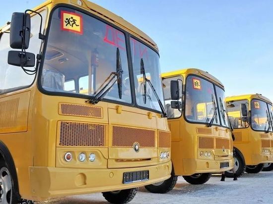 Любимов поручил к 1 сентября привести в порядок школьные маршруты