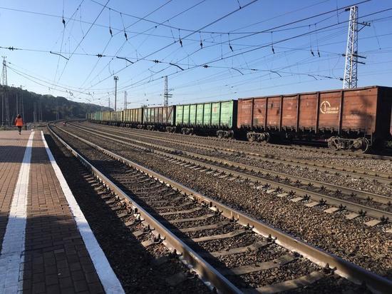 Детская железная дорога в Новомосковске будет работать без пассажиров
