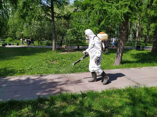 За помощь в борьбе с пандемией в Новосибирске вручат почетную премию