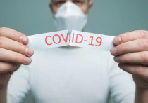 Во вторник Минздрав России зарегистрировал первую в мире вакцину от COVID-19