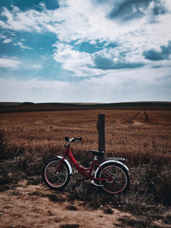 Чем смоляне могут помочь своему Поозерью прямо сейчас