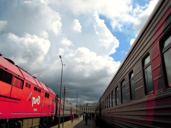 В Челябинской области пьяный пассажир поезда напал на полицейского