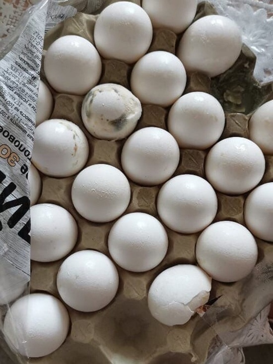 Житель Ноябрьска купил в «Магните» яйца в странных пятнах