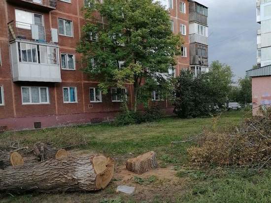 “Лысеющие дворы” возмутили жительницу Кемерова
