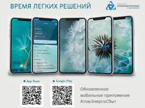 На приём в АтомЭнергоСбыт можно записаться онлайн