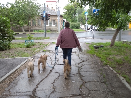 Сегодня в Саратове ожидается нетипичная для августа погода