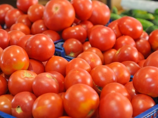Диетолог назвал группу людей, которым вредно есть помидоры