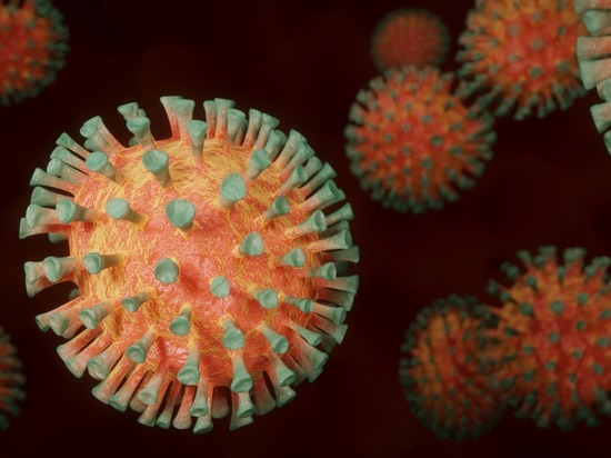 В Карелии зафиксировали очередную смерть от коронавируса