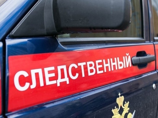 Житель Колымы пригрозил камнем пограничнику ФСБ: ему грозит тюрьма