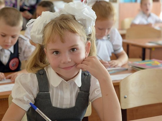 Открытие школ в Саратовской области будет зависеть  от толщины кошелька родителей учеников