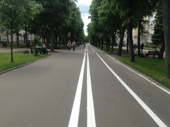 В Смоленской области в выходные идут «сплошные проверки» на дорогах