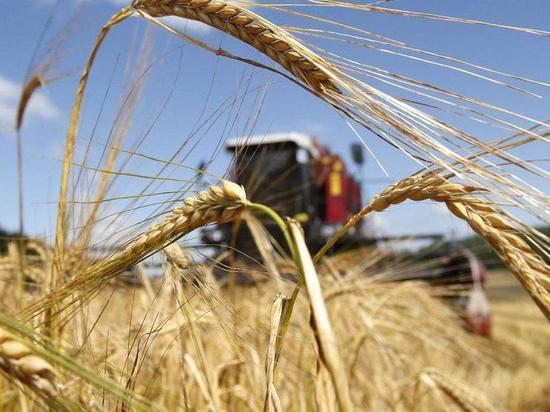 Западные районы Калмыкии завершили хлебоуборку