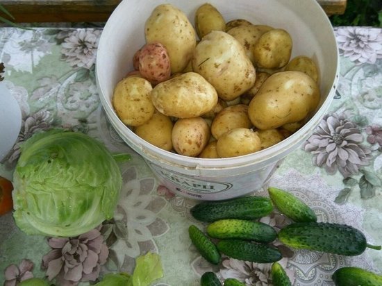 Ивановский зоопарк просит еды