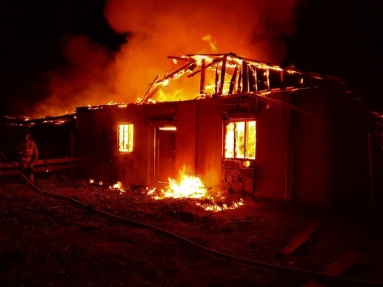 Ночью на свердловской ферме сгорели свиньи и индюки