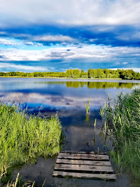 Какой погоды ждать смолянам в понедельник, 17 августа