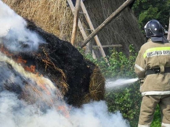 В Ивановской области сгорело сено на большой площади