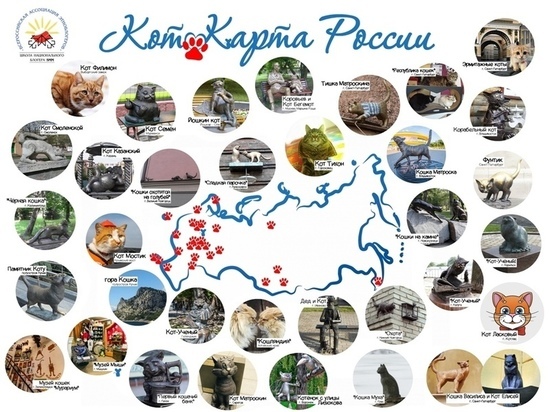 Ярославские мышки попали к кошкам