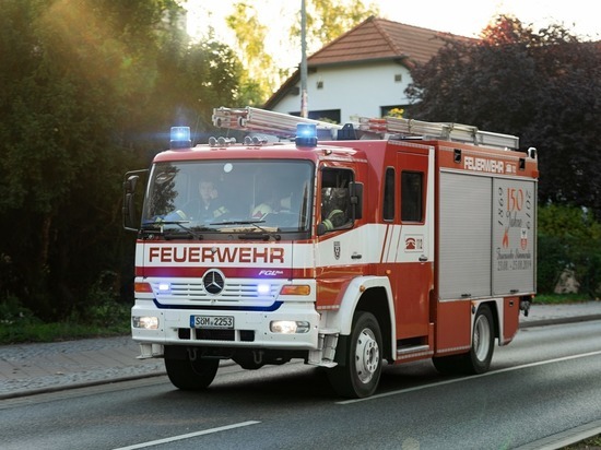 Школьный автобус в Германии врезался в дерево: 14 пострадавших