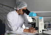 Частицы микропластика и нанопластика впервые найдены американскими учеными в органах человека