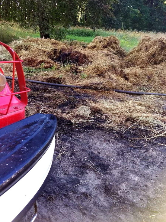 В Рославльском районе горели рулоны сена